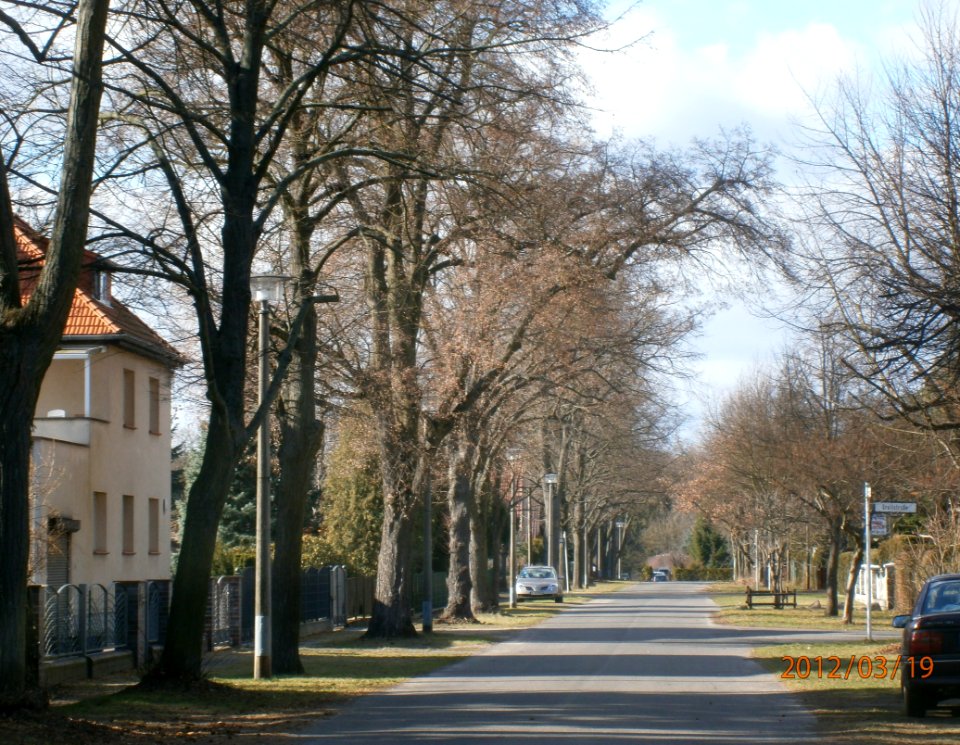 P3190042 Malmedyer