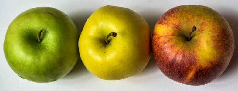 Season healthy fresh
