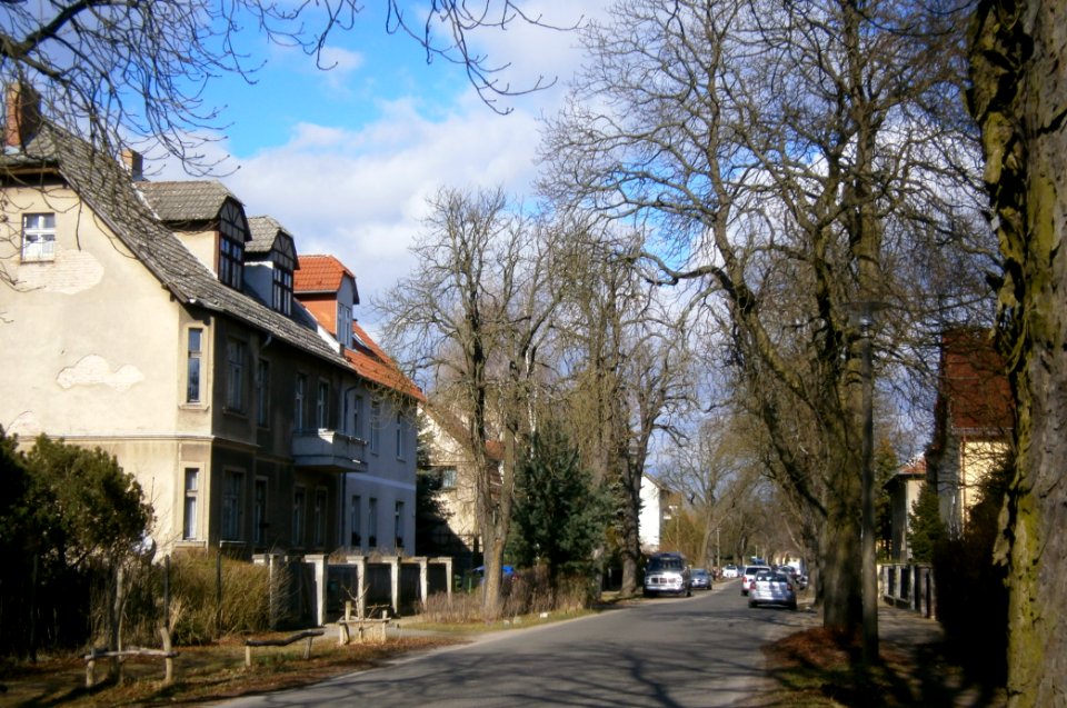 P3190046 52.6445°N 13.49815Hörstenweg