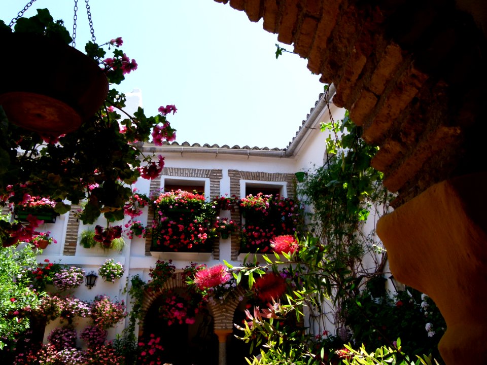 Patio de Cordoue 3
