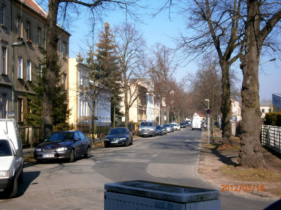 P3160397-Rosenthaler nird