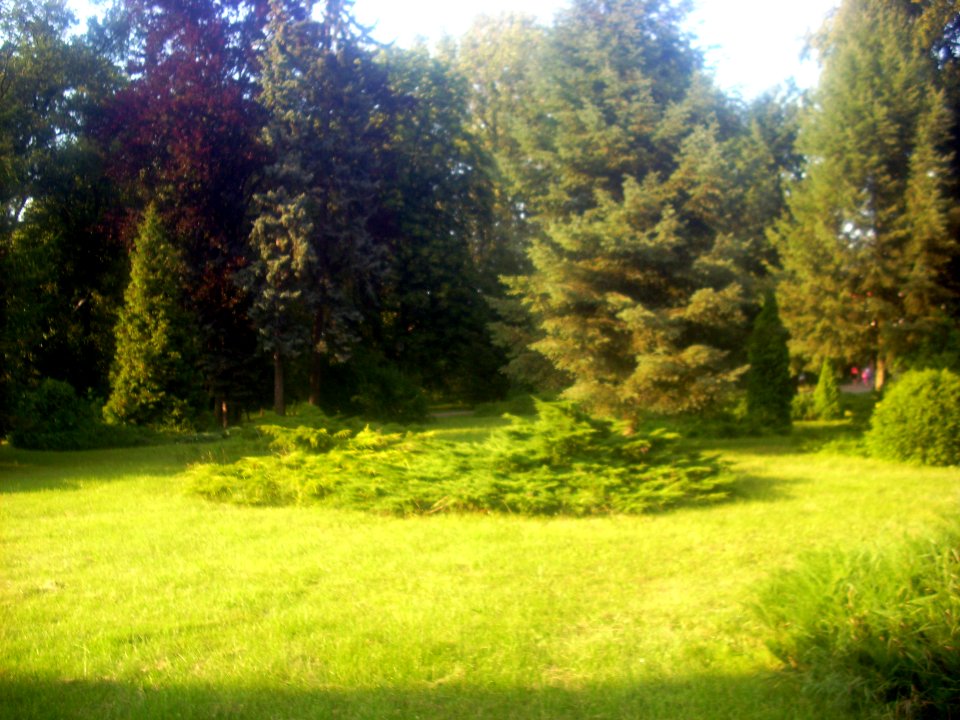 Pałac w Zajączkowie7