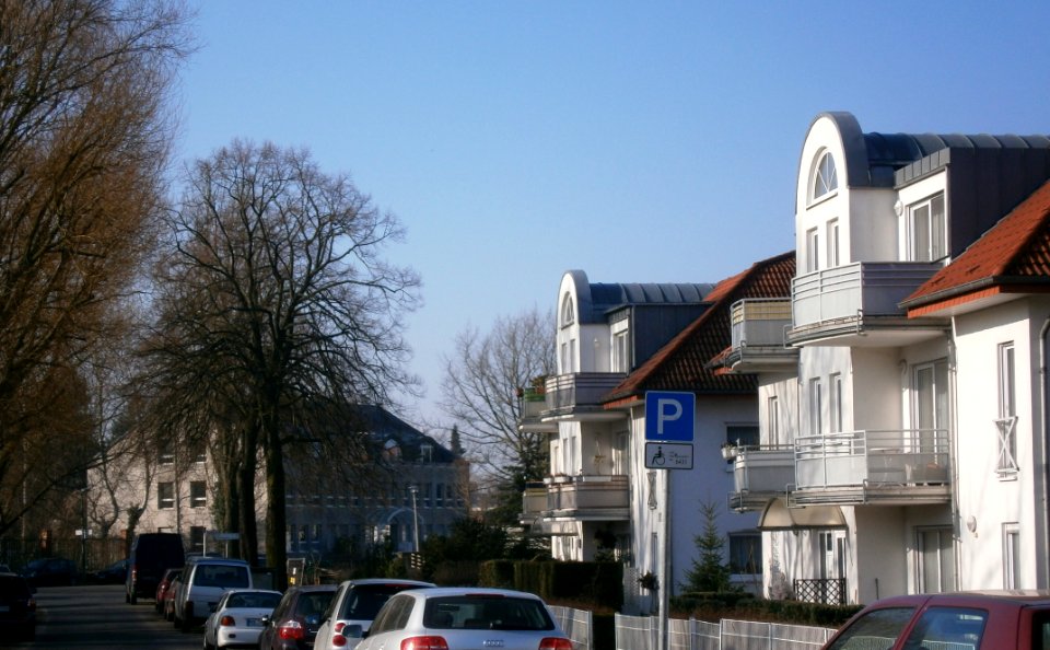 P3160315-LQuidde süd