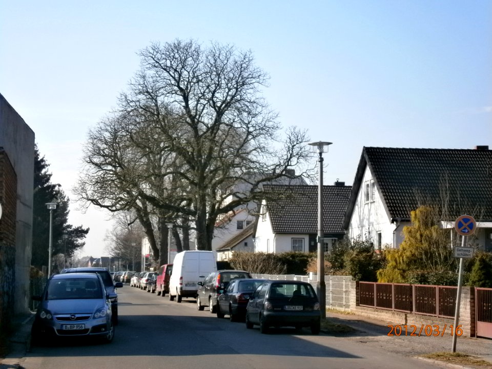 P3160389 Schönhauser