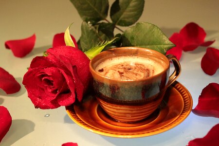 Foam drink petals