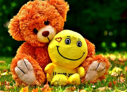 Love soft toy teddy bear photo