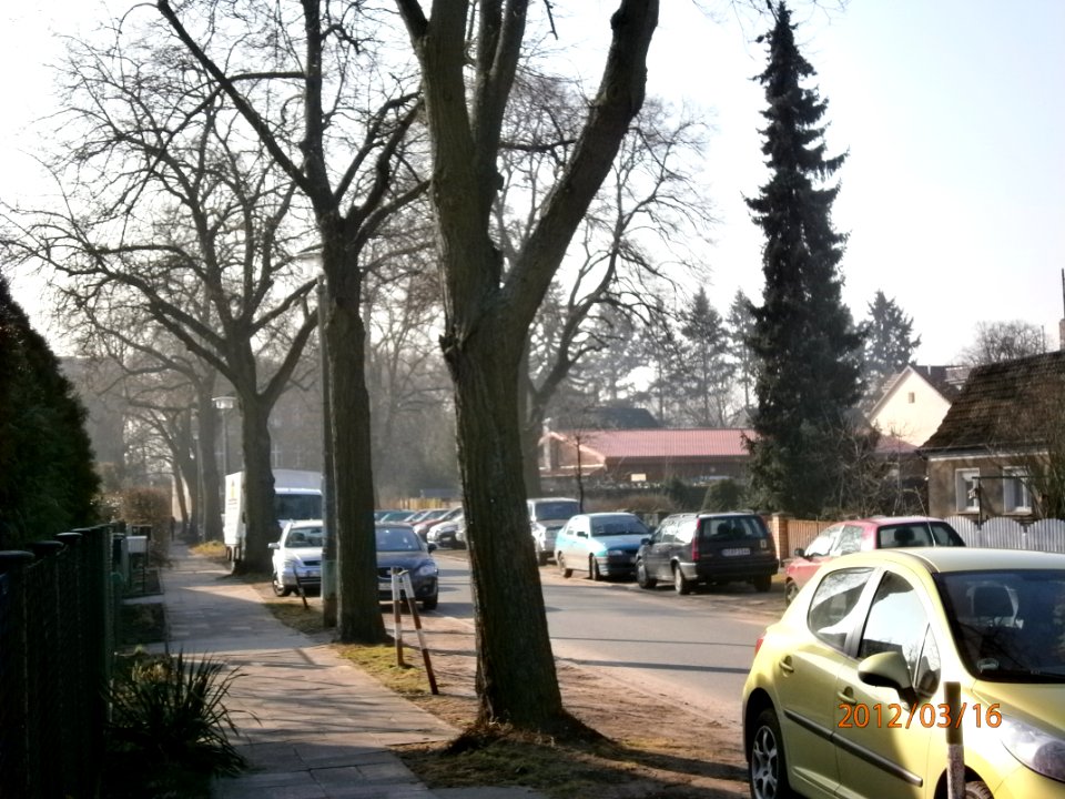 P3160311-Straße 59