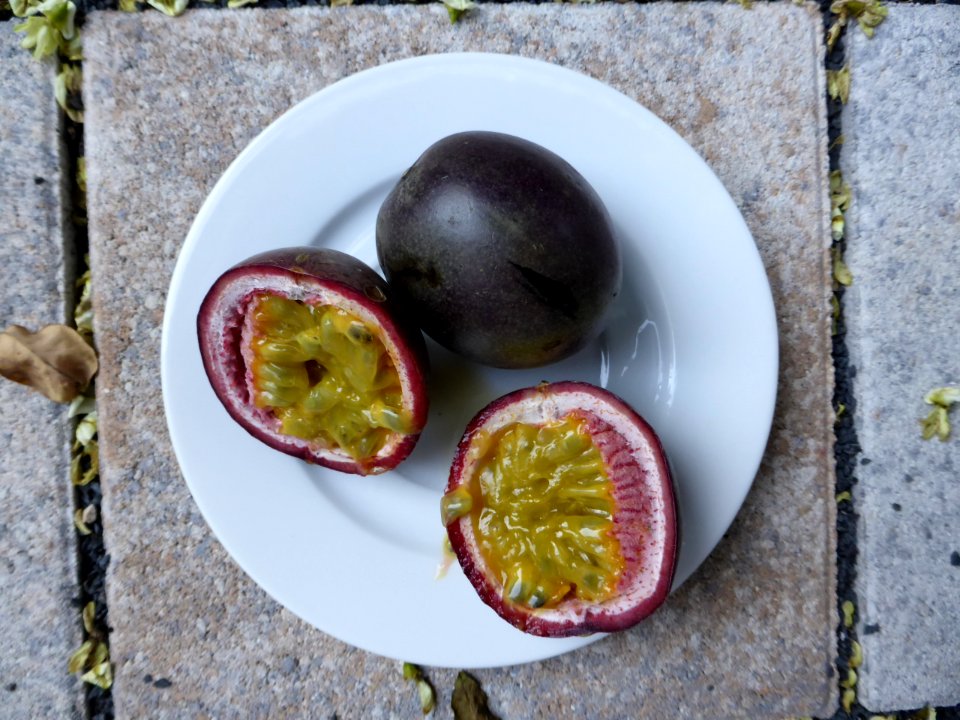 Passiflora-edulis-top