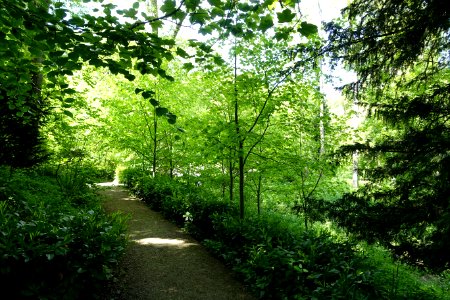 Pathway - Prior Park - Bath, England - DSC09733