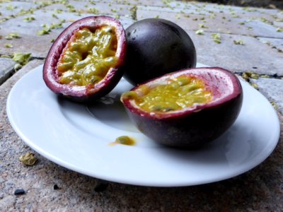 Passiflora-edulis-1