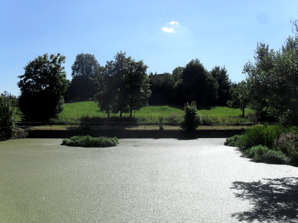 Pačejov (Klatovsko) 16