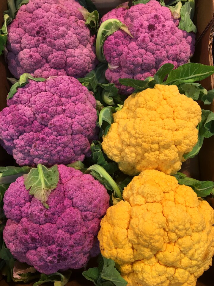 Produce garden nature