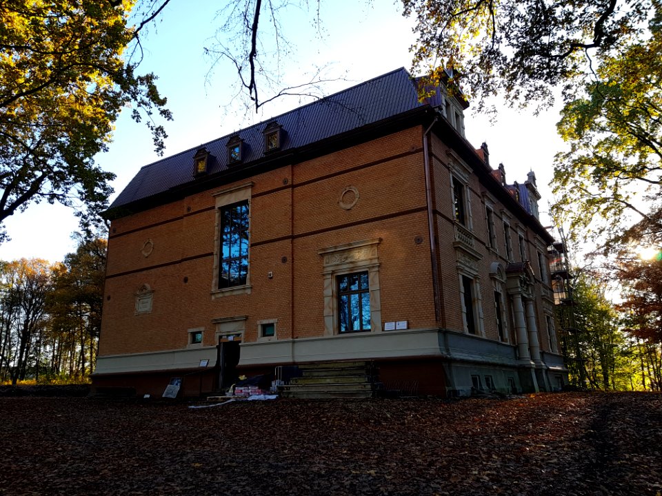 Pałac w Rzuchowie (2)