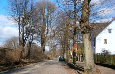 P3190037 Röntgentaler