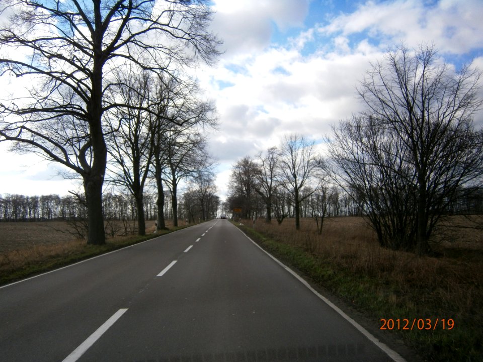 P3190051 SchönerlinderCh