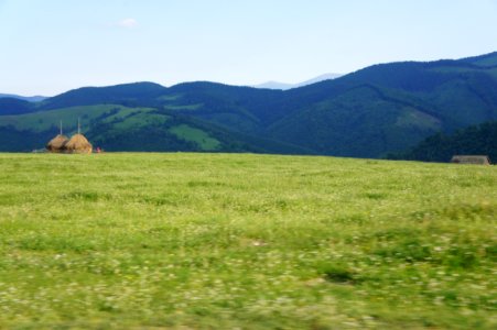 Păltiniş, sus