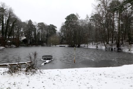 Pücklerteich with snow 2021-01-03 02