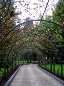 Oviedo - Campo de San Francisco 01