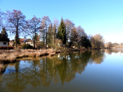 Pöllwitzer Teich 4