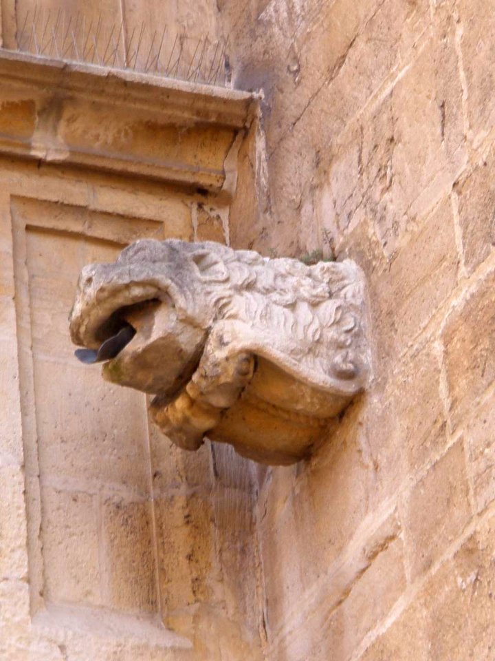 Oviedo - Catedral, gárgola