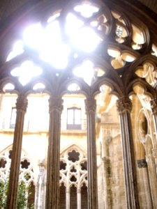 Oviedo - Catedral, claustro 13