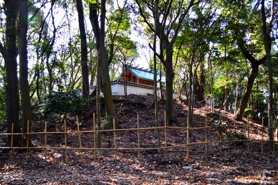 Owaribe-jinja honden