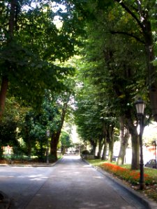 Oviedo - Campo de San Francisco 06