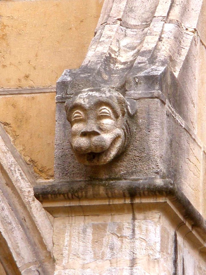 Oviedo - Catedral, claustro 16