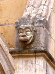 Oviedo - Catedral, claustro 16