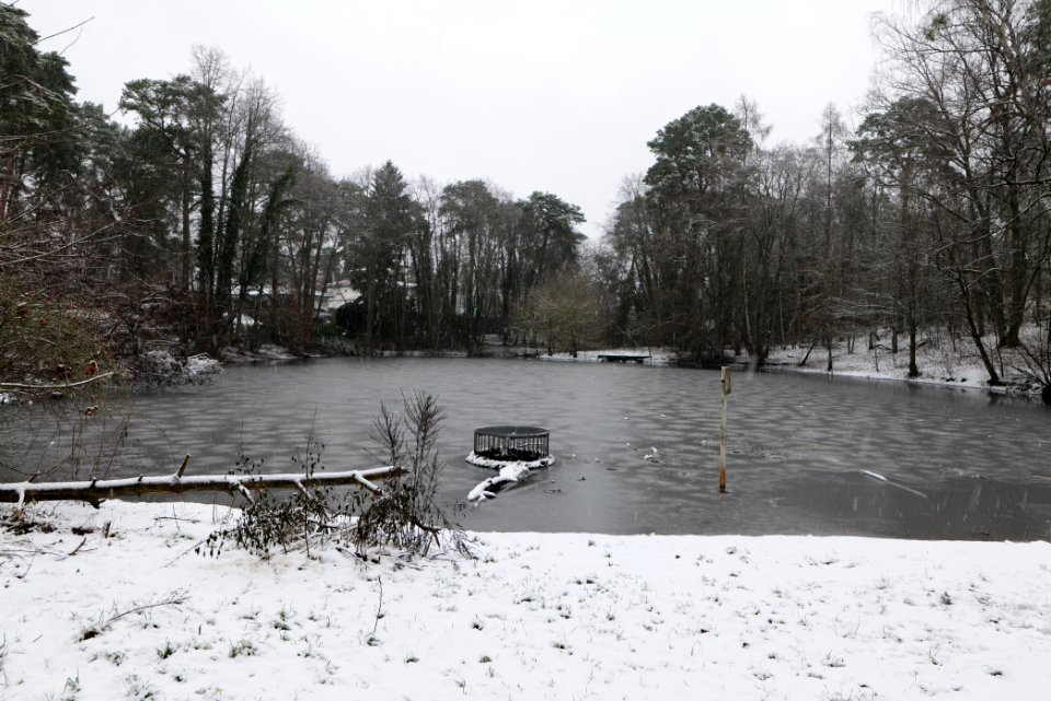 Pücklerteich with snow 2021-01-03 01