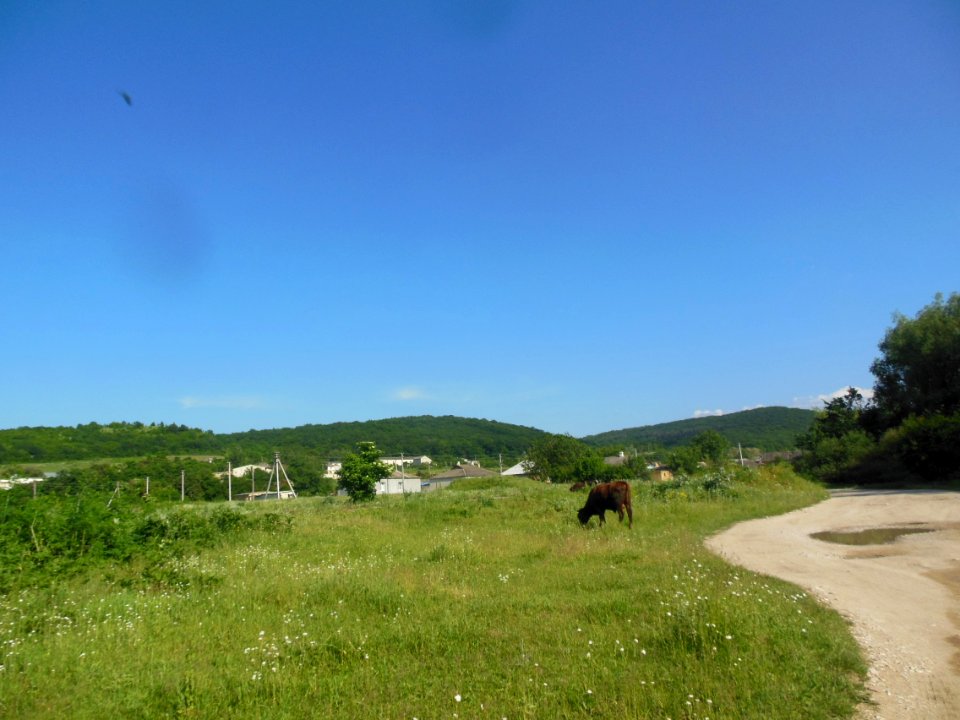 Ovrazhki 1