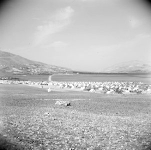 Overzicht van het vluchtelingen kamp Balata nabij Nablus, Bestanddeelnr 255-5749