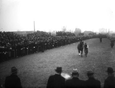 Paardenkeuring Assen, Bestanddeelnr 901-4689 photo