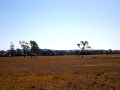Paddocks Sheep Station Creek Queensland