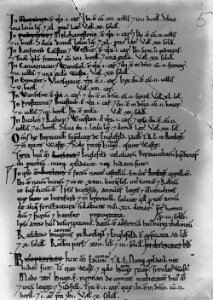 Page from the Domesday book manuscripts (1293793)