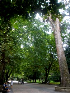 Oviedo - Campo de San Francisco 05