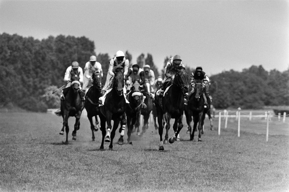 Paardensport, races, paarden, Bestanddeelnr 932-6336