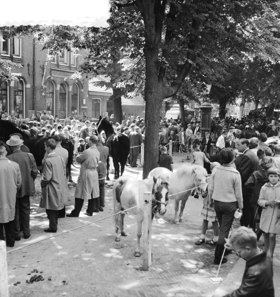 Paardenmarkt in Voorschoten, Bestanddeelnr 912-7786