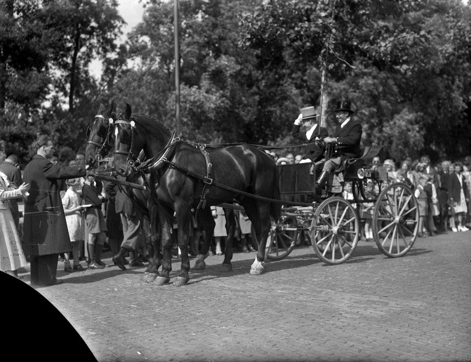 Paardenparade in Amsterdam. Overzicht Munt, Bestanddeelnr 934-5196