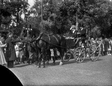 Paardenparade in Amsterdam. Overzicht Munt, Bestanddeelnr 934-5196