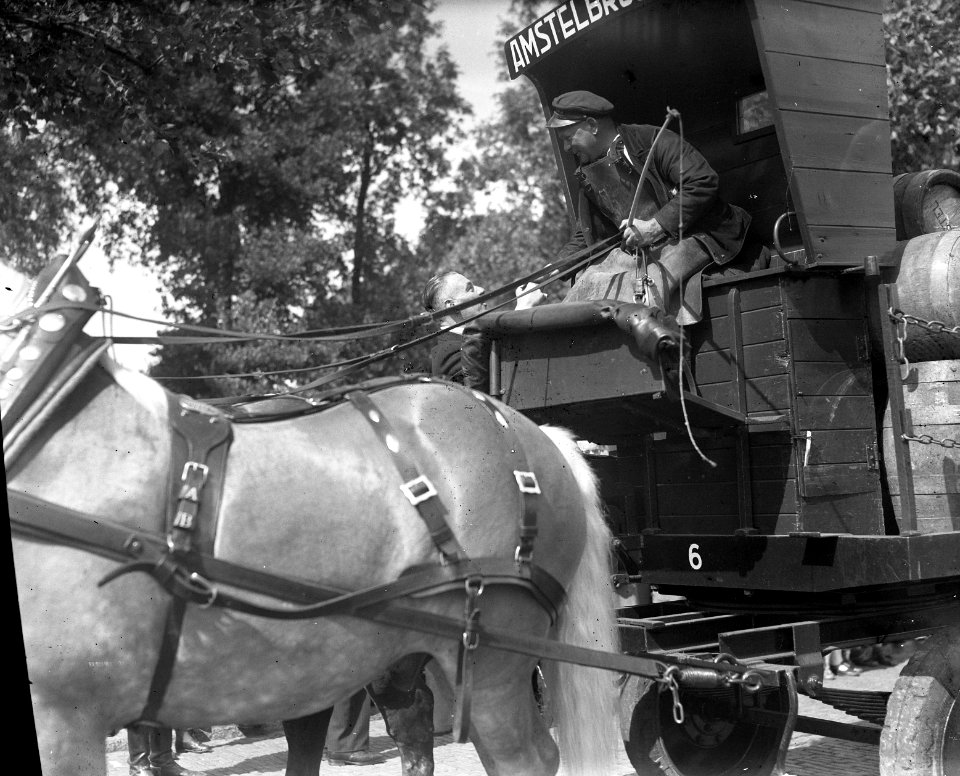 Paardenparade. Overzicht Munt, Bestanddeelnr 902-8049