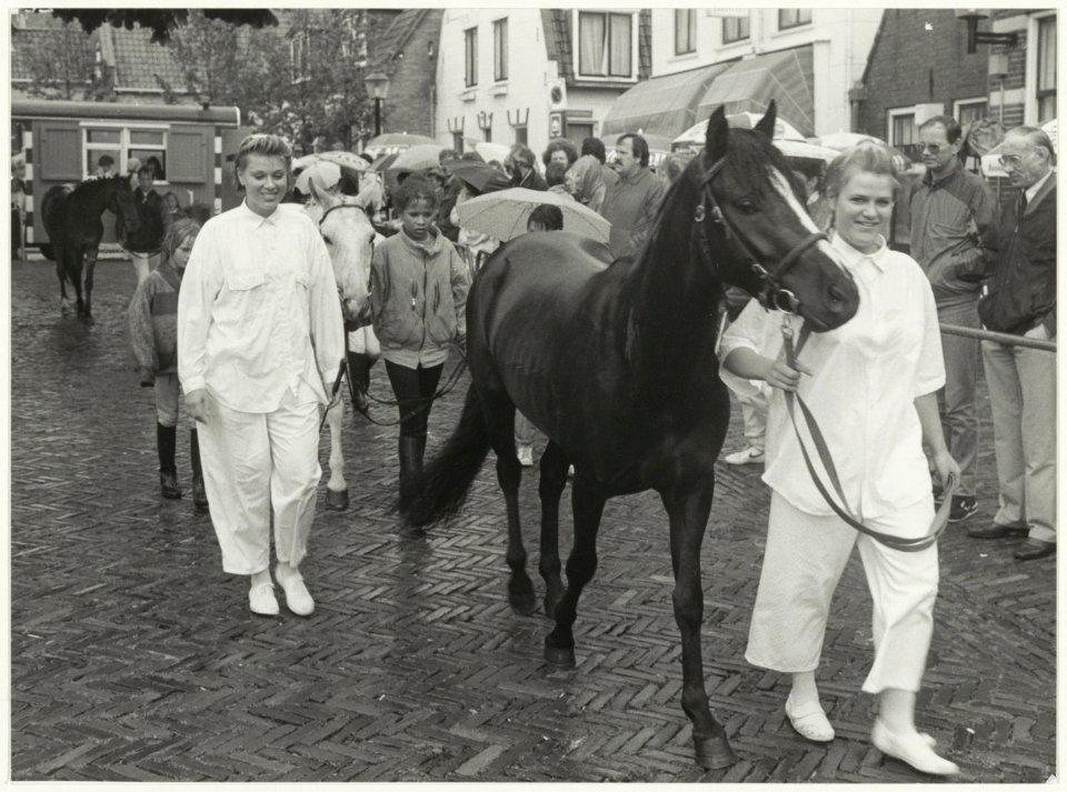 Paardenkeuring op het Gasthuisplein, tijdens de Week van het Paard. NL-HlmNHA 54005801