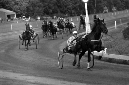Paardeninterland Nederland tegen Belgie op Duindigt overzicht paardenrace, Bestanddeelnr 928-1755