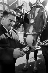 Paard drinkt bier, Bestanddeelnr 922-4207