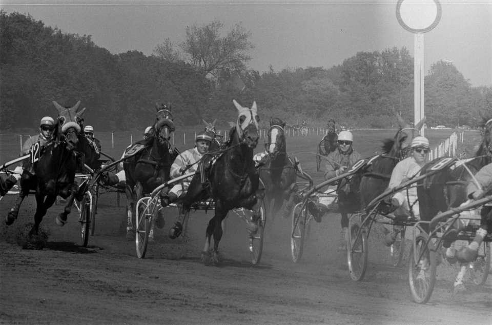 Paardenraces op Duindigt te Den Haag De finish Derby voor hengsten Nr 3 Mist, Bestanddeelnr 915-2179