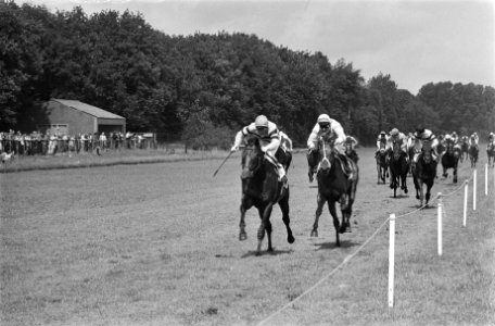 Paardenraces Duindigt 50e derby finish links winnaar D. Maitland uit GB met het, Bestanddeelnr 929-8100