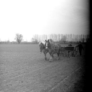 Paard en wagen op het land, Bestanddeelnr 252-1972