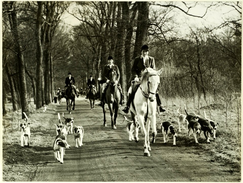 Paardensport, NL-HlmNHA 5400466963