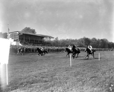 Paardenrennen 50 jaar Duindigt. Overzichten tijdens Courses, Bestanddeelnr 907-7737