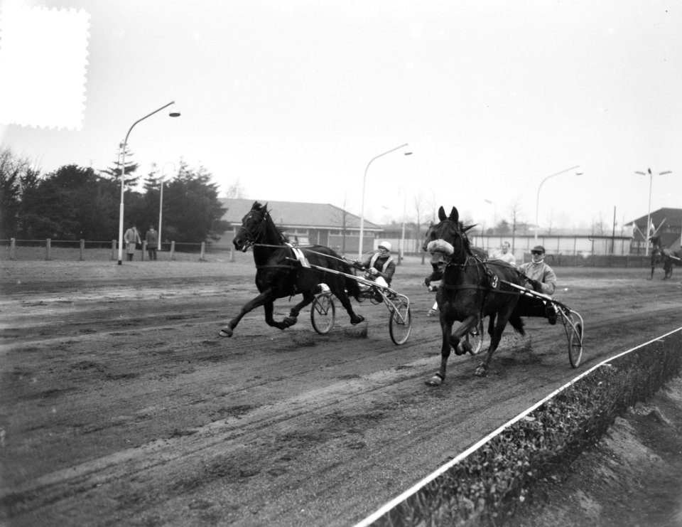 Paardencourses Hilversum, Bestanddeelnr 906-2978